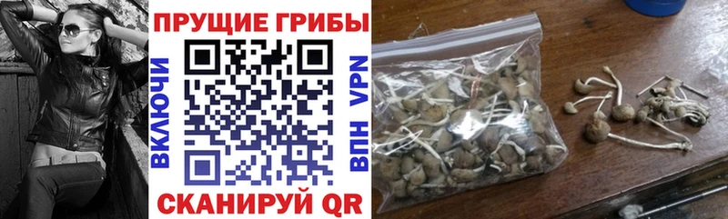 Галлюциногенные грибы мухоморы  Зима 