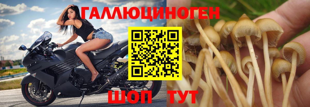 Зима  Галлюциногенные грибы MAGIC MUSHROOMS  Вход с VPN 