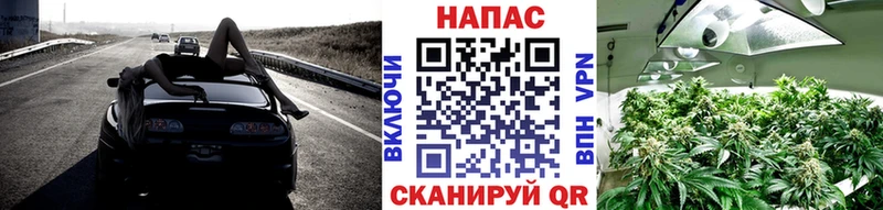 Бошки Шишки VHQ kraken ССЫЛКА Зима